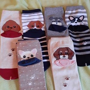 6 pairs of dog socks